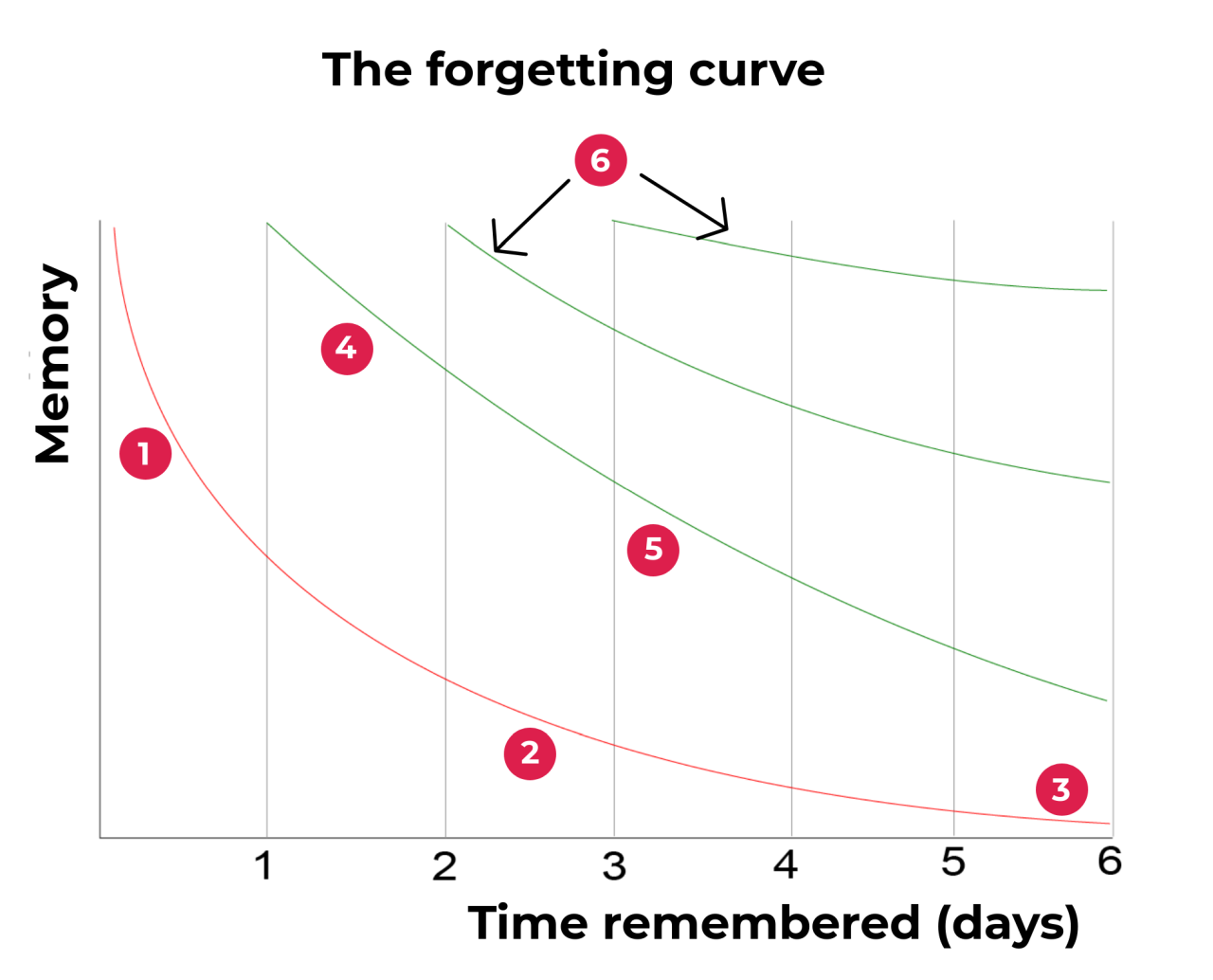 An infographic on the forgetting curve